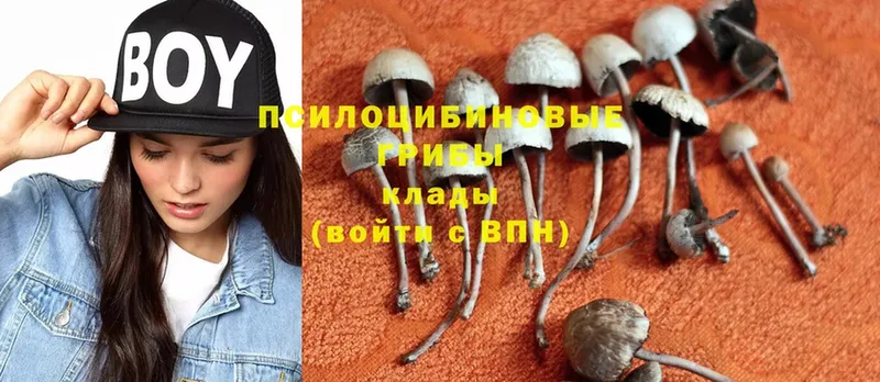 Галлюциногенные грибы MAGIC MUSHROOMS  Сатка 